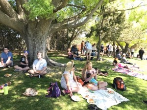 Staff, faculty, students, and families sit beneath the large shade trees and eat lunch sponsored by the Staff Association Council.