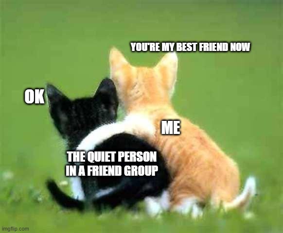An orange kitten captioned "me" says "you're my best friend now" to a black and white kitten captioned "the quiet person in a friend group" who says "ok".